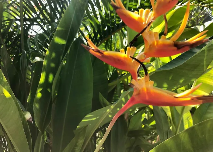 Casita Linda, A Luxury House Near The Beach! * Zihuatanejo